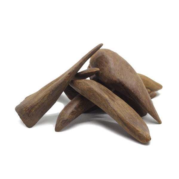 Cambodian Oud